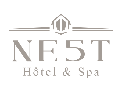 NE5T-logo-800x600px